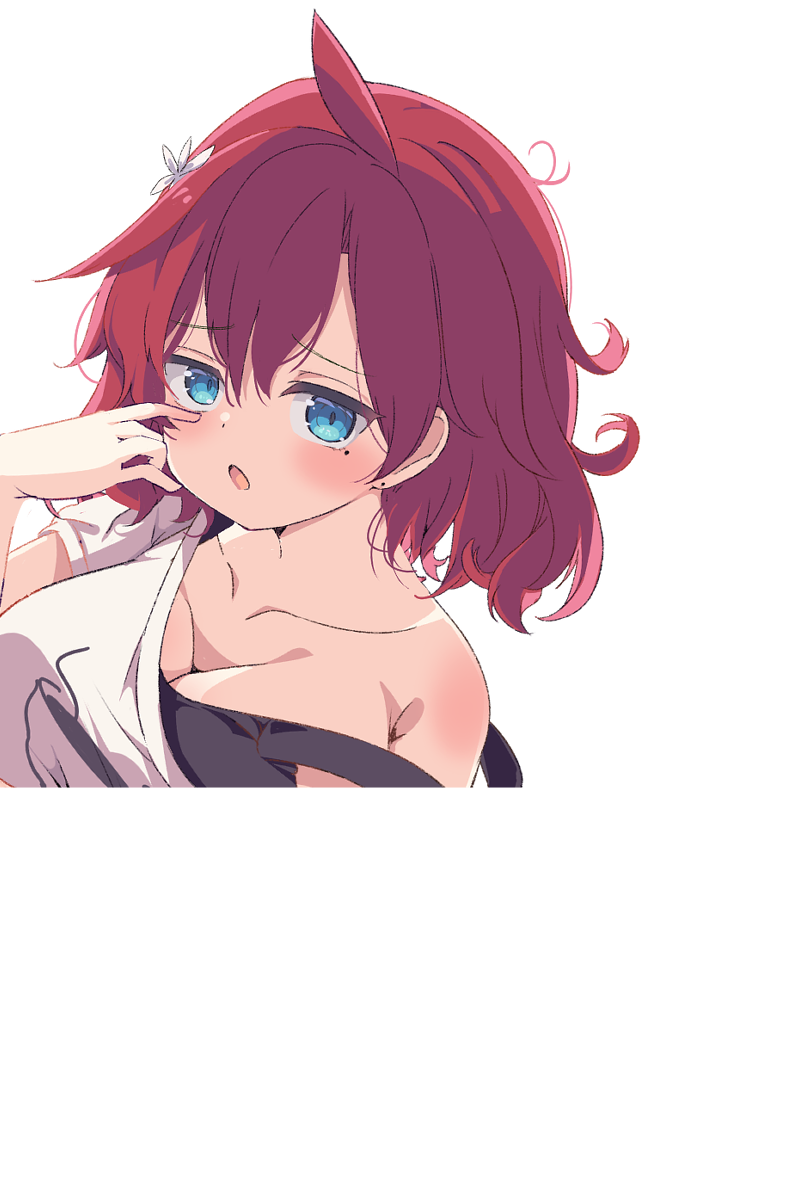 しだはらしょうこ
